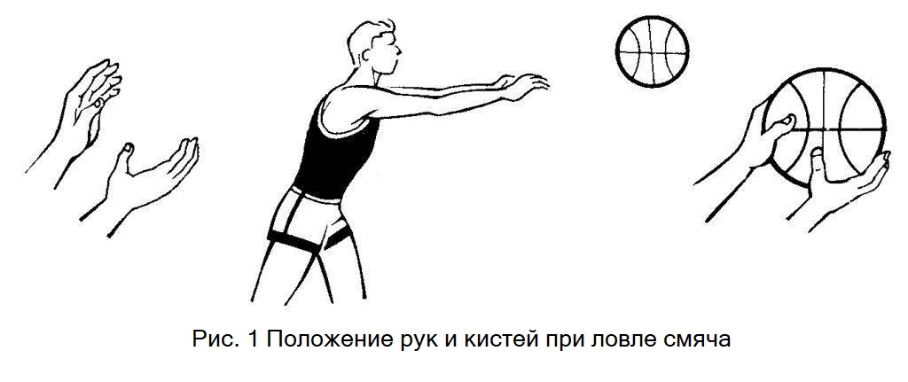 Ловля мяча двумя руками, летящего на средней высоте