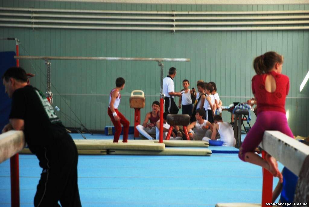 Детская спортивная школа гимнастики