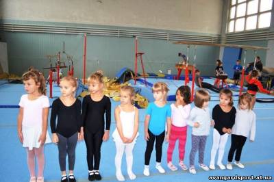 Тренировочный процесс школы в гимнастическом зале Авангард