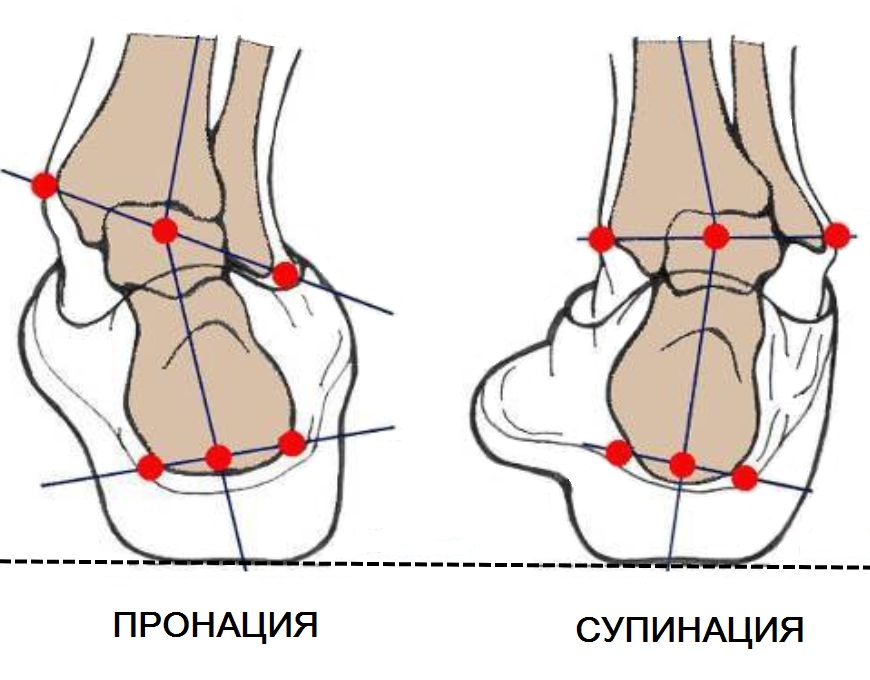 Пронация и супинация